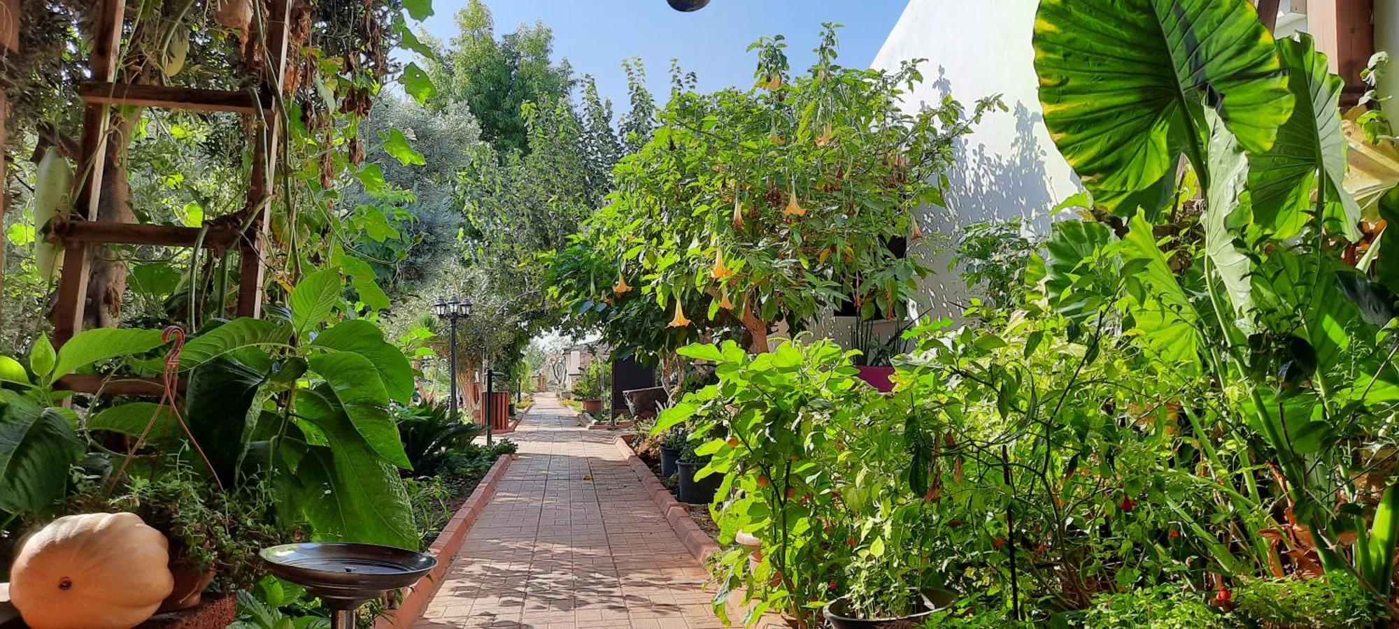 Osman Aga Culture House Apartment ฟามากุสต้า ภายนอก รูปภาพ