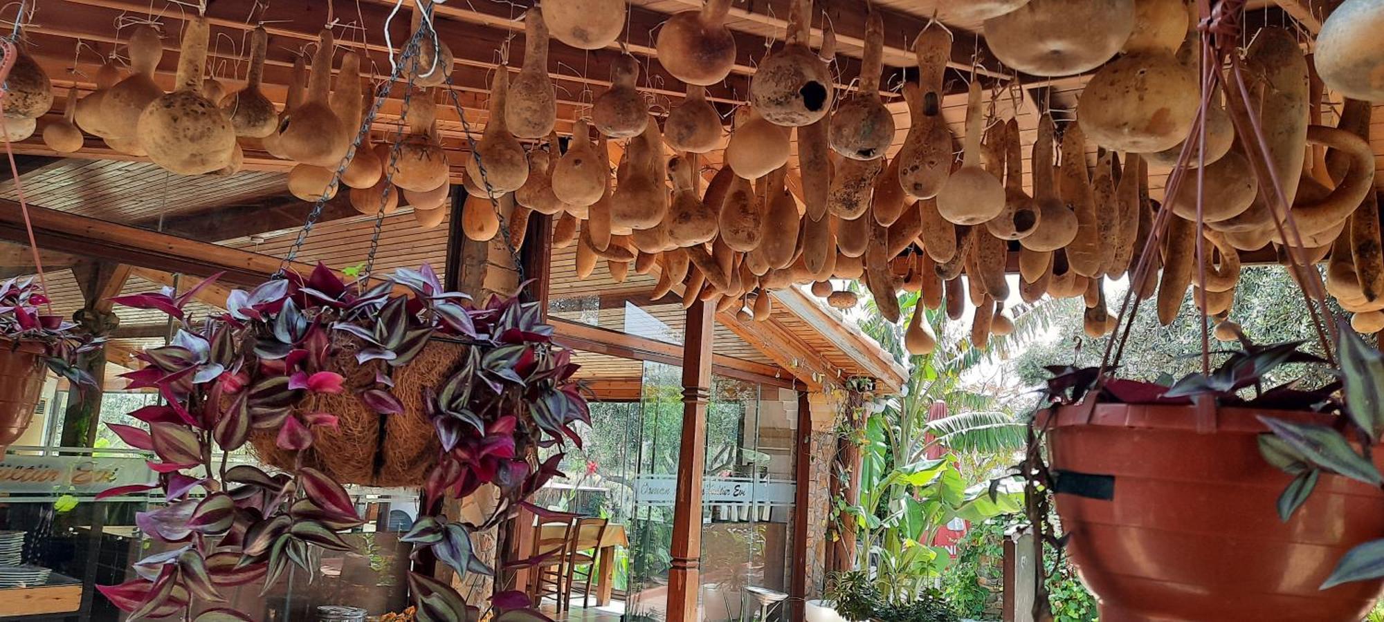 Osman Aga Culture House Apartment ฟามากุสต้า ภายนอก รูปภาพ